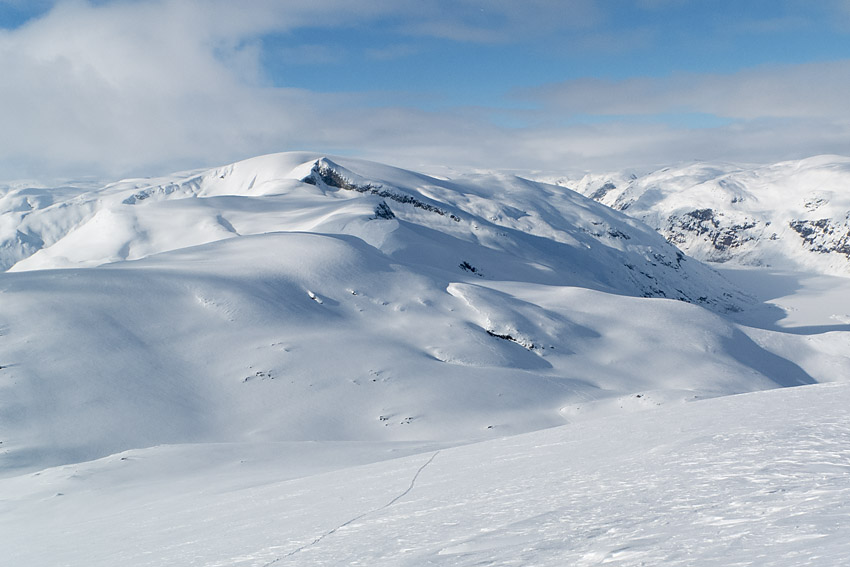 Stora ytor i snörika Josedalen.